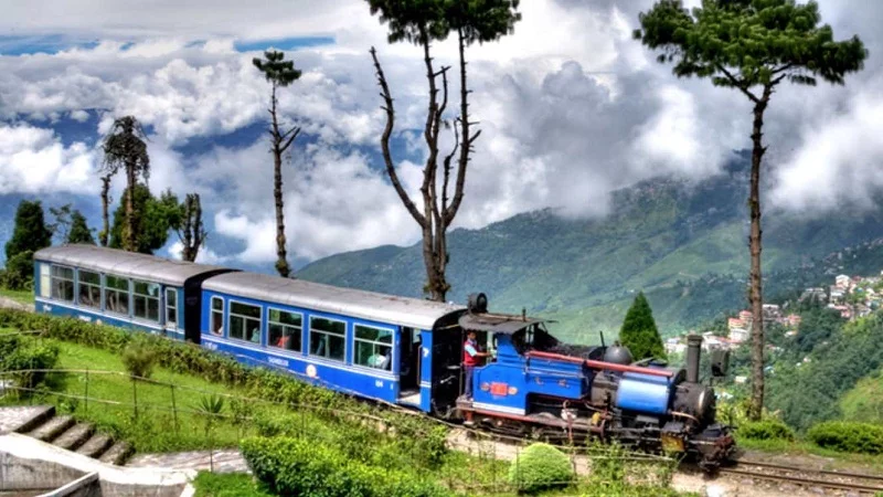 Toy train rides of Darjeeling, which takes one through sparsed tea plantation, are the best means to explore the entire city.