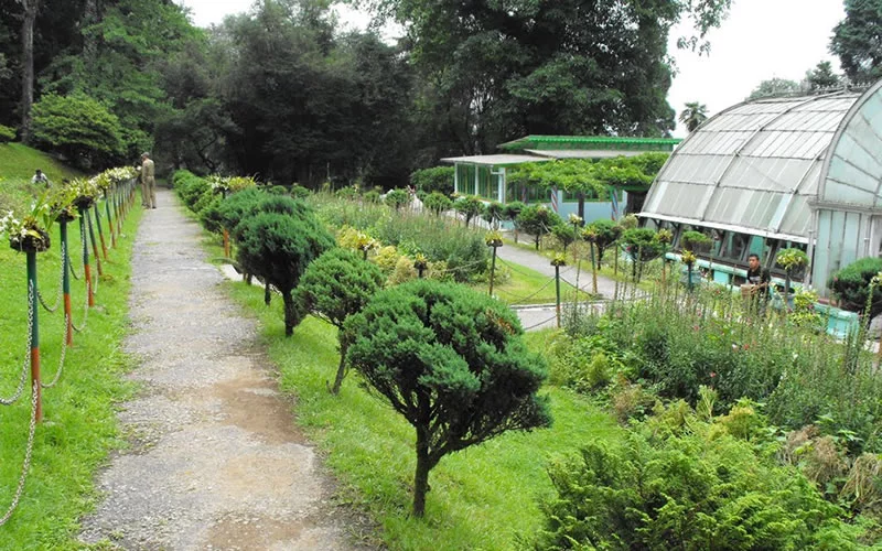 Lloyd Botanical Garden is one of the main attractions for the visitors in Darjeeling. It is a favourite spot of recreation with vistas across some of the loveliest slopes. It is situated at a distance of 2 kms from Elgin Hotel in Darjeeling